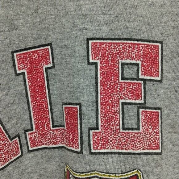 Vintage Dale Jr Budweiser Long-sleeved XXL Grey - Picture 8 of 13